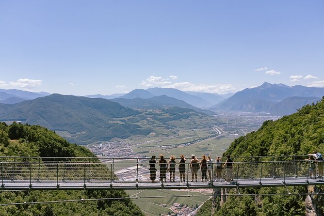 Visit of the vineyard on Mount Mezzocorona and tasting of 3 wines - Who will enjoy this outing most?
