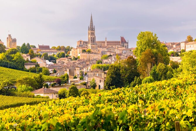 Visit Saint-Emilion and Pomerol:Vineyards, lunch and tastings included - Seeing How Wine Is Made at the Vineyard