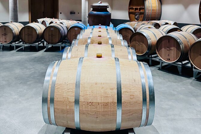 Visit Saint-Emilion and Pomerol:Vineyards, lunch and tastings included - Finishing in Pomerol or Saint-Émilion