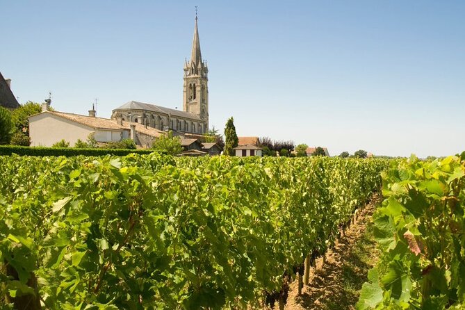Visit Saint-Emilion and Pomerol:Vineyards, lunch and tastings included - Is $174.53 a Fair Price?