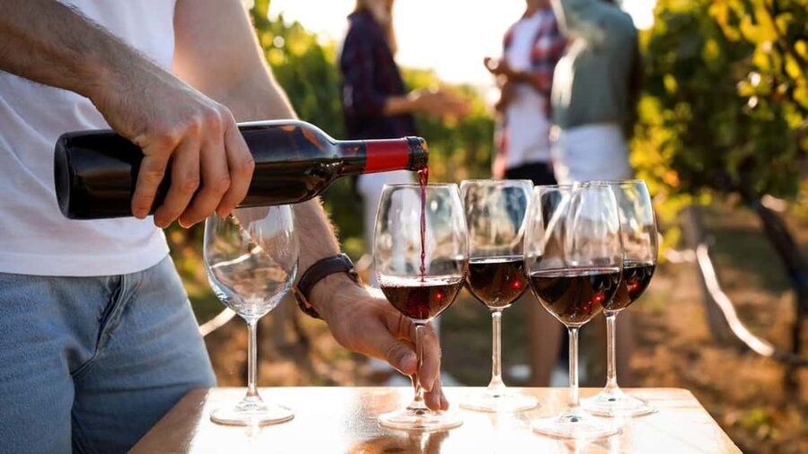 Visit the vineyards and discover Bandol wines - The 4x4 pickup makes a difference