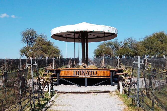 Visit to 3 Vineyards in the Region, departing from Querétaro - Three vineyards, three different ways to taste Querétaro wine