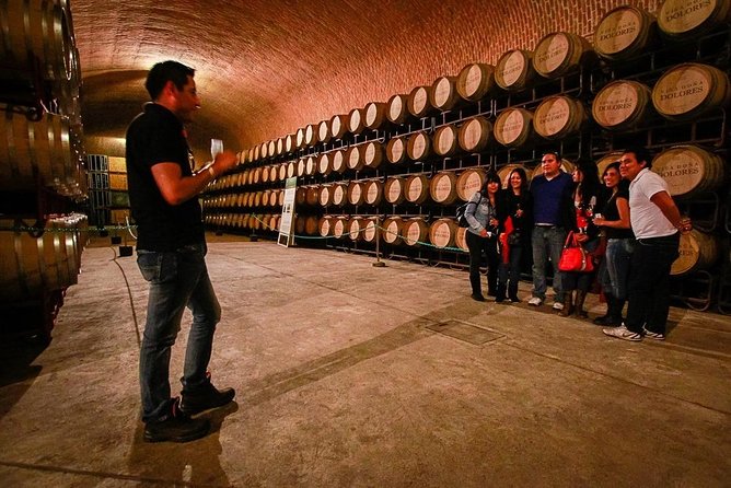 Visit to 3 Vineyards in the Region, departing from Querétaro - What the $223.90 price really covers