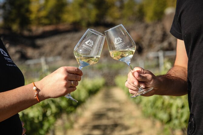 Visit to Arafo Mountain Vineyard and Organic Wine Tasting - Walking through the vineyard at 1,000 meters