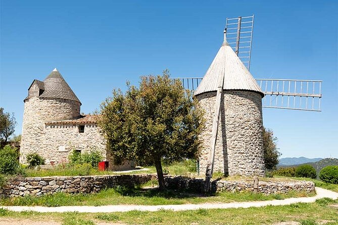 Visit to the Faugères Vineyards with Picnic from Béziers - Group size, pace, and practical limits