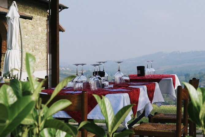 Visit winery and vineyards, tasting 4 wines with 3 matching dishes - What makes this Calatroni visit worth your time