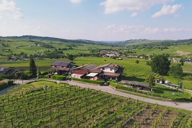 Visit winery and vineyards, tasting 4 wines with 3 matching dishes - Four wines are matched with three seasonal courses