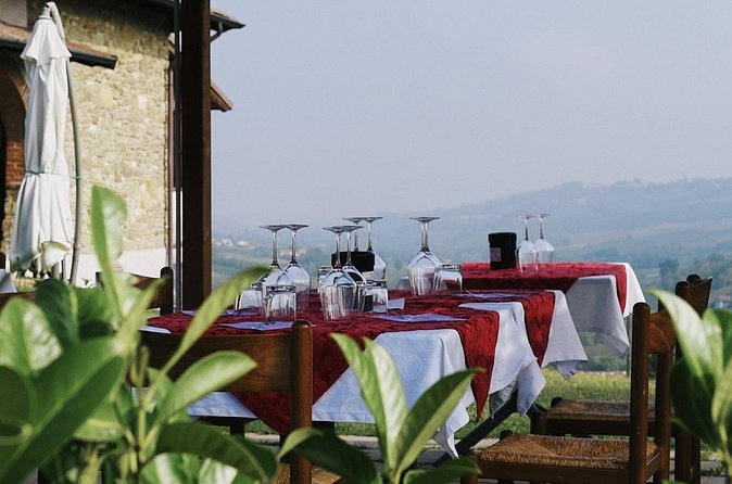 Visit winery and vineyards, tasting 4 wines with 3 matching dishes - Should you book the Calatroni winery visit?
