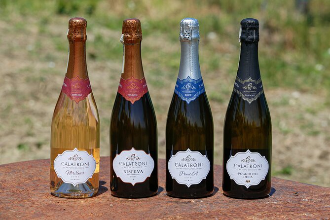 Visit winery and vineyards, tasting 4 wines with 3 matching dishes - What happens inside the cellar