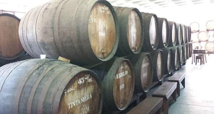 Visiting local Vineyard With Wine Tasting & Lunch included - The final stop is Madeira’s fortified wine