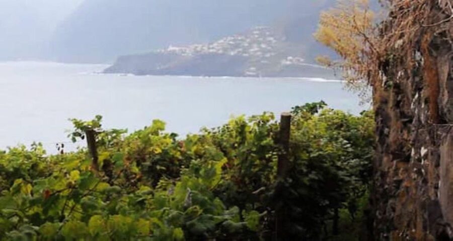 Visiting local Vineyard With Wine Tasting & Lunch included - The Fajã dos Padres cable car is a memorable change of pace