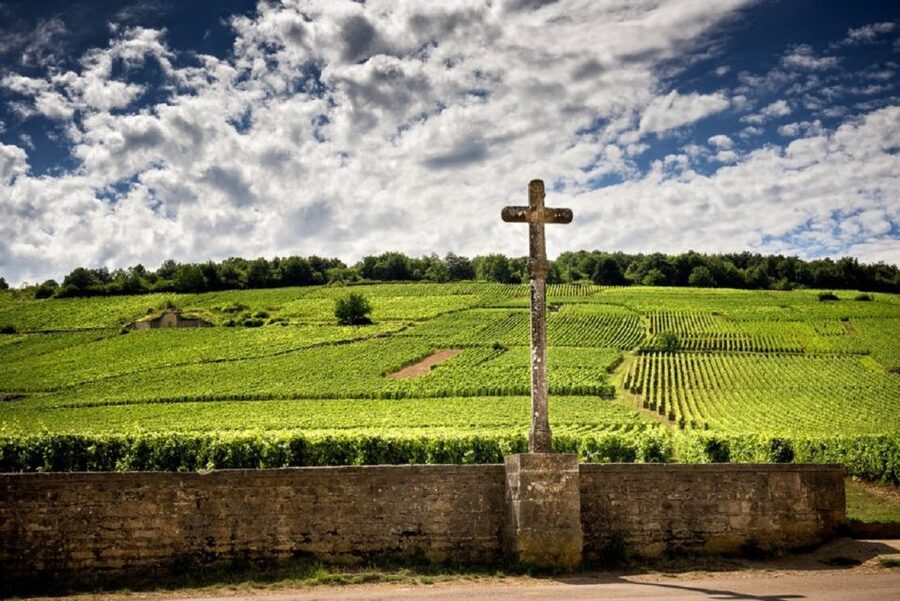 Vosne-Romanée: Private Vineyards Walking Tour with Tasting - Key points to know before booking