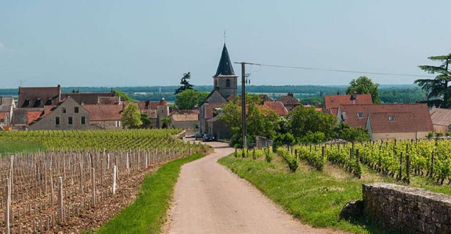 Vosne-Romanée: Private Vineyards Walking Tour with Tasting - Climbing into the vineyards for the views
