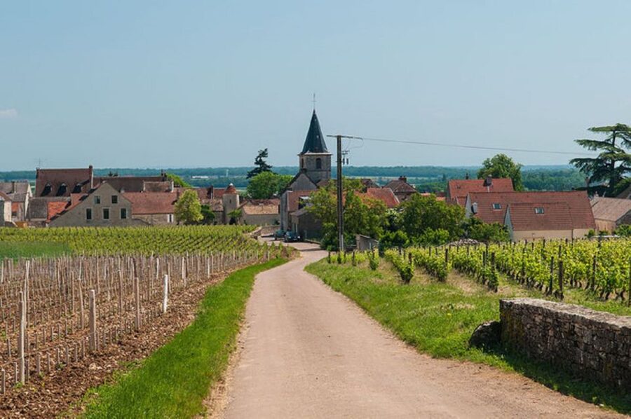 Vosne-Romanée: Private Vineyards Walking Tour with Tasting - Walking past Château Vosne-Romanée and the famous estates