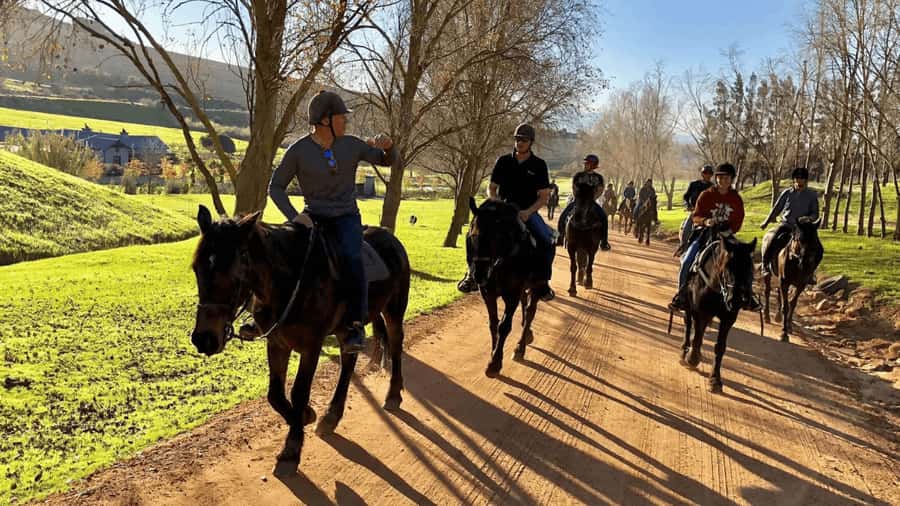 Vrede en Lust Wine Estate:1-Hour Horseback Riding Experience - Key points at a glance