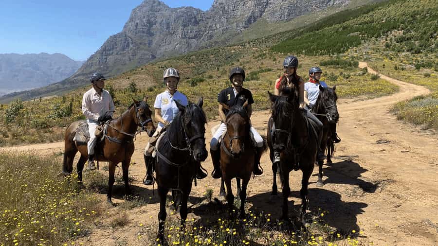 Vrede en Lust Wine Estate:1-Hour Horseback Riding Experience - One Hour Through Vineyards and Mountain Views