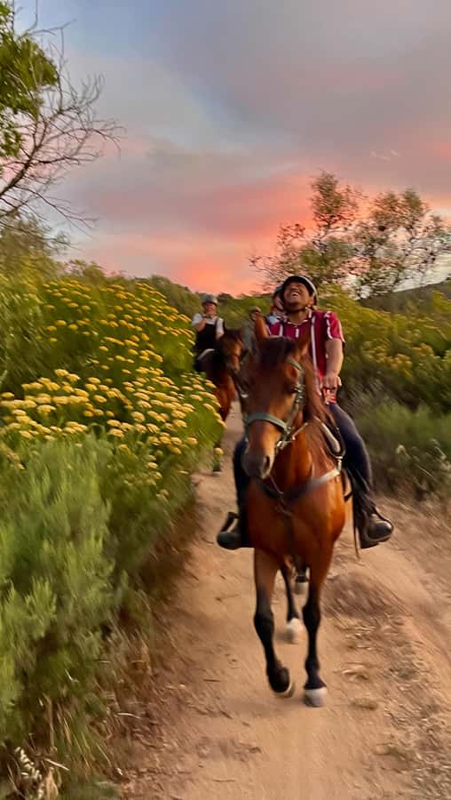 Vrede en Lust Wine Estate:1-Hour Horseback Riding Experience - A Scenic Experience With a Few Practical Limits