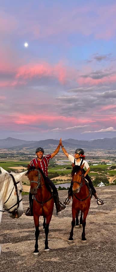 Vrede en Lust Wine Estate:1-Hour Horseback Riding Experience - Who Should Book This Franschhoek Ride?