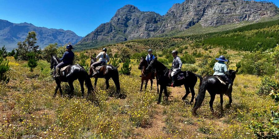Vrede en Lust Wine Estate:1-Hour Horseback Riding Experience - Timing Your Day Around the Ride