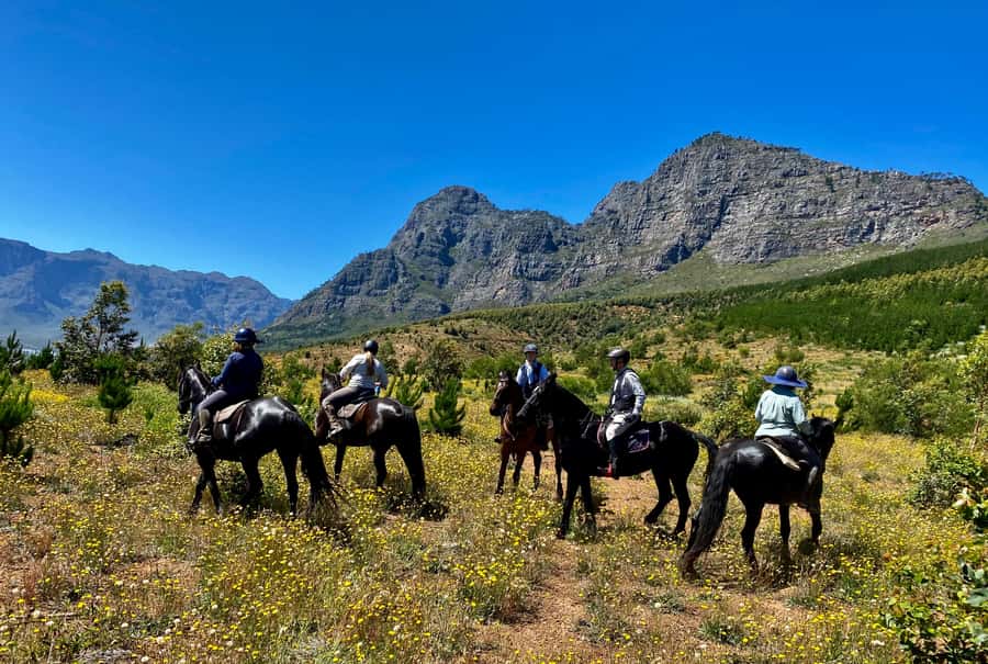 Vrede en Lust Wine Estate:1-Hour Horseback Riding Experience - Final Verdict: Is the Vrede en Lust Horse Ride Worth It?