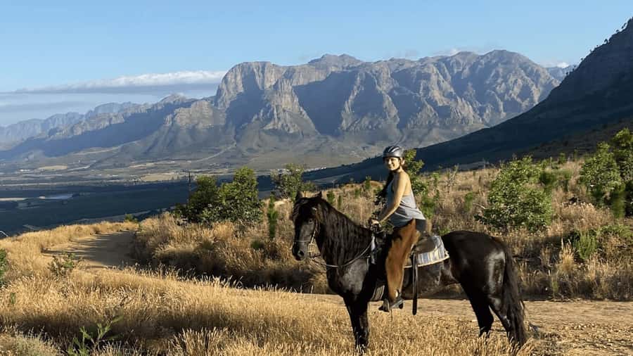 Vrede en Lust Wine Estate:1-Hour Horseback Riding Experience - Meeting Your Horse and Guide