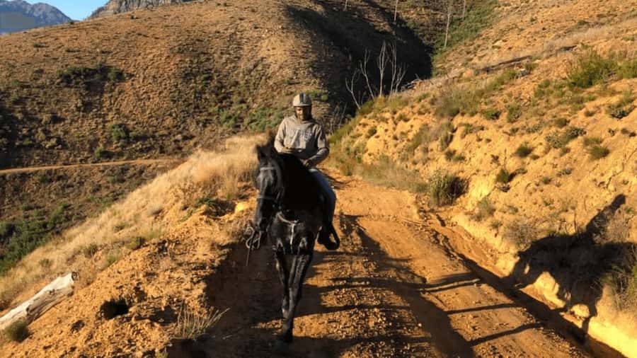 Vrede en Lust Wine Estate: 1h30m Horse Trail Ride - Key points at a glance