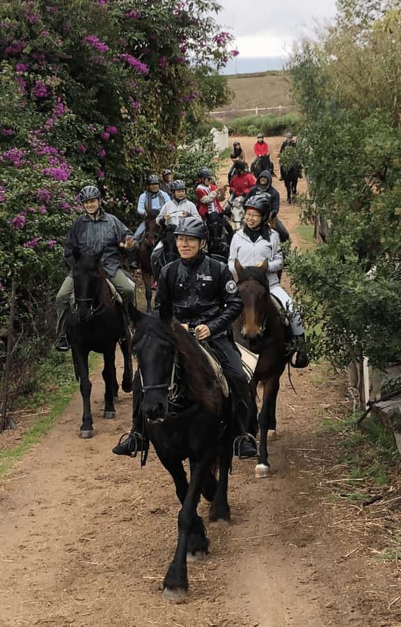 Vrede en Lust Wine Estate: 1h30m Horse Trail Ride - Why horseback riding suits the Franschhoek valley