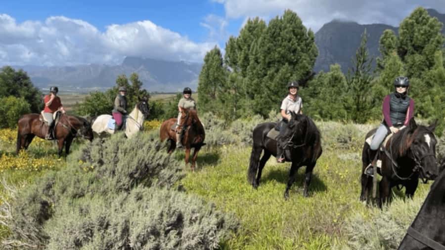 Vrede en Lust Wine Estate: 1h30m Horse Trail Ride - Meeting your horse at the Vrede en Lust stables