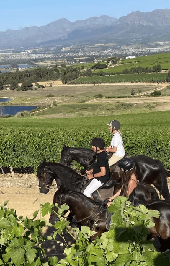 Vrede en Lust Wine Estate: 2H Horse Trail - Starting at Vrede en Lust Wine Estate