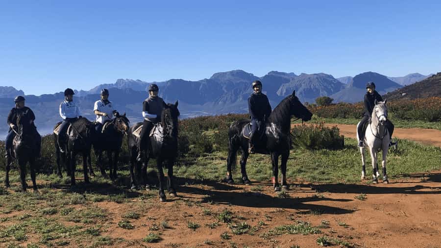 Vrede en Lust Wine Estate: 2H Horse Trail - Meeting Your Horse and Guide