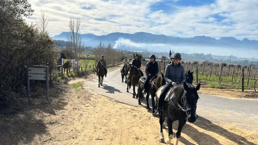 Vrede en Lust Wine Estate: 2H Horse Trail - Reaching the Lower Mountain Slopes