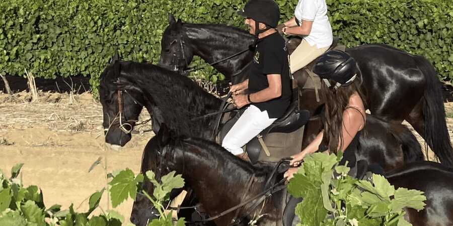 Vrede en Lust Wine Estate: 2H Horse Trail - What the Two Hours Feel Like