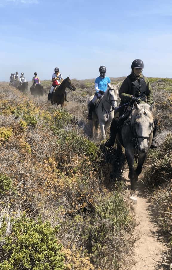 Vrede en Lust Wine Estate: 2H Horse Trail - Safety, Skill Level, and Restrictions