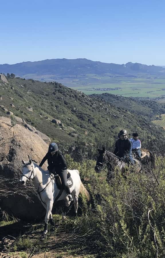 Vrede en Lust Wine Estate: 2H Horse Trail - After the Ride at Lust Bistro & Bakery