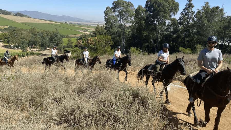 Vrede en Lust Wine Estate: 2H Horse Trail - Riding Through the Vineyards