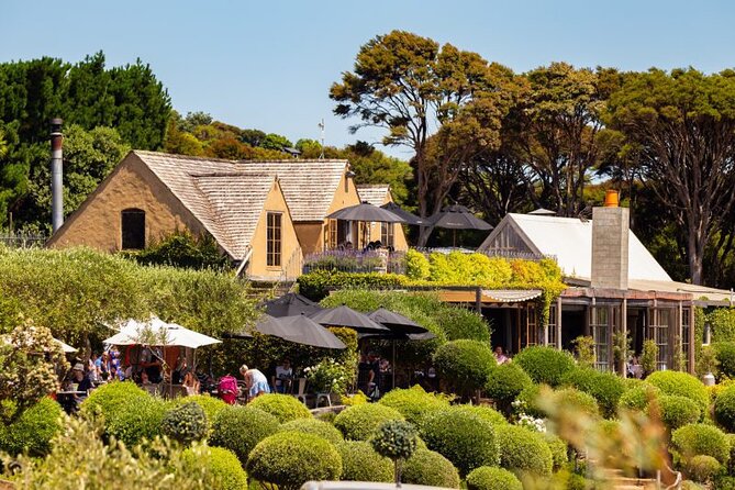 Waiheke Island Day Tour: Ziplining, Wine Tasting & Vineyard Lunch - From Auckland ferry terminal to Waiheke’s treetops