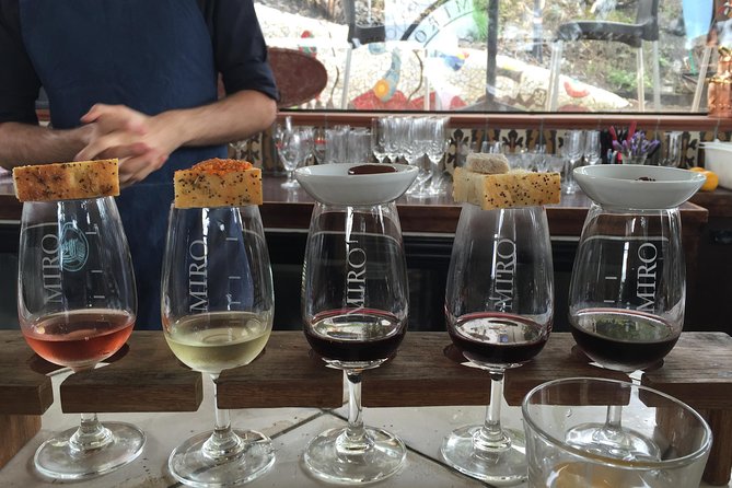 Waiheke Island Day Tour: Ziplining, Wine Tasting & Vineyard Lunch - Who should book this Waiheke day tour?