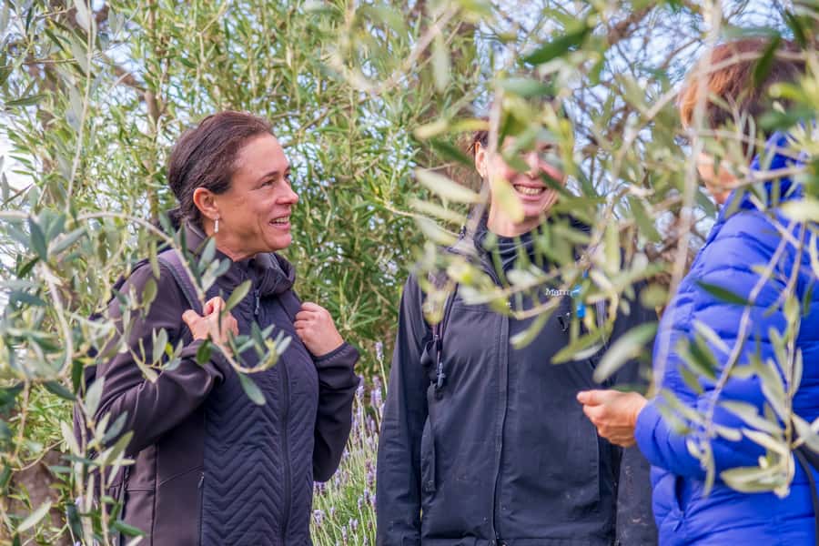 Waiheke Island: Premium Vineyard, Wine Tasting and Bush Walk - Meeting your guide at Waiheke’s Matiatia terminal