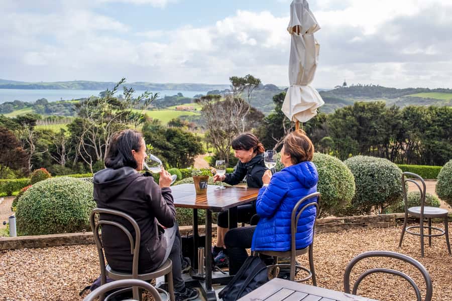 Waiheke Island: Premium Vineyard, Wine Tasting and Bush Walk - Sea birds, native plants, and Gulf views