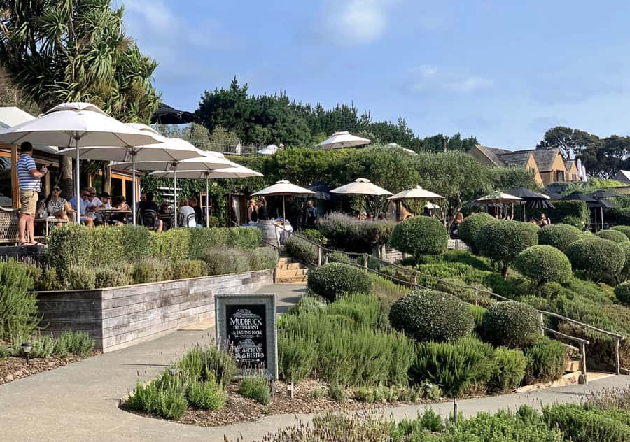 Waiheke Island: Premium Vineyard, Wine Tasting and Bush Walk - Coffee, food, and the practical middle ground