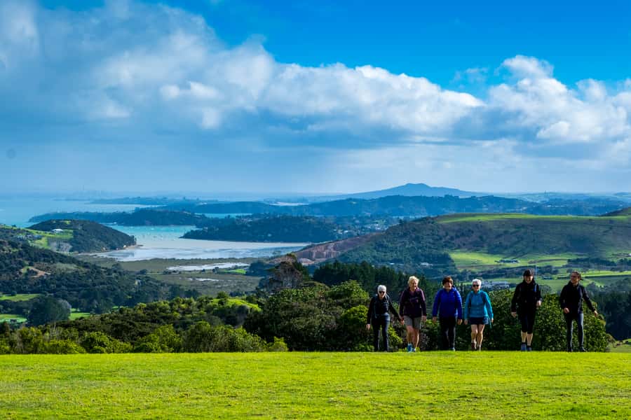 Waiheke Island: Premium Vineyard, Wine Tasting and Bush Walk - Walking through Atawhai Whenua Forest and Bird Reserve