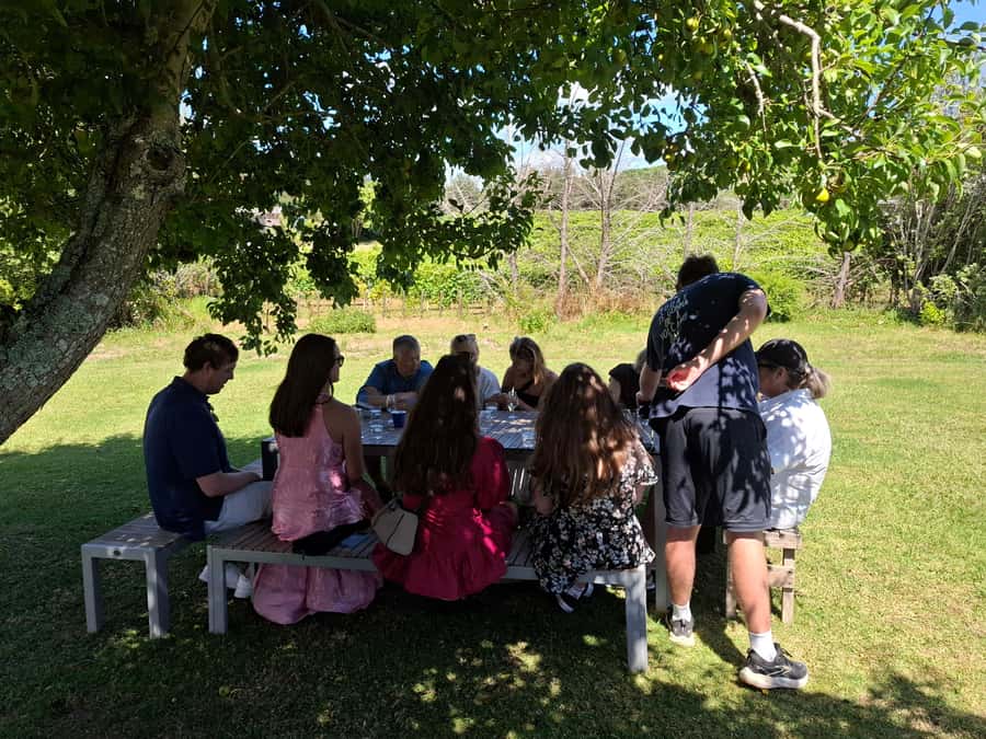 Waiheke Island: Sip and Savor 3 Vineyards Tour with Lunch - Who should book this Waiheke outing?