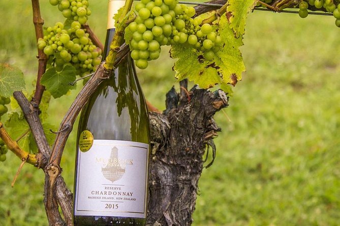 Waiheke Island Vineyards and Bush Walk - Is $279.26 good value?
