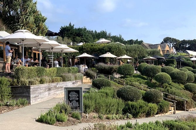 Waiheke Island Vineyards and Bush Walk - Starting at Matiatia and getting into the bush