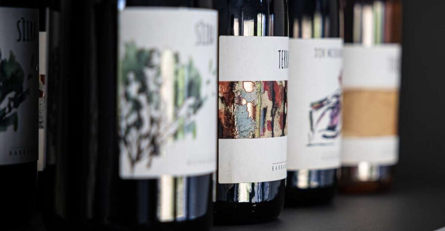 Walk among the rows of vineyards and wine tasting - Inside the cellar: from grape to bottle