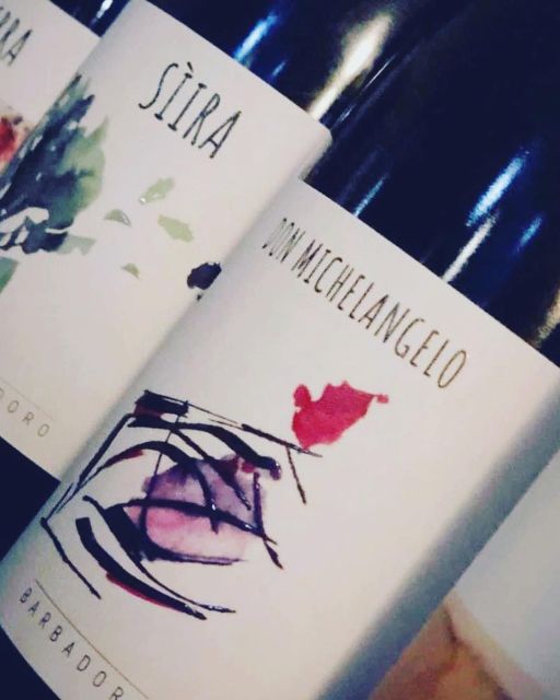 Walk among the rows of vineyards and wine tasting - Walking the organic rows of vines