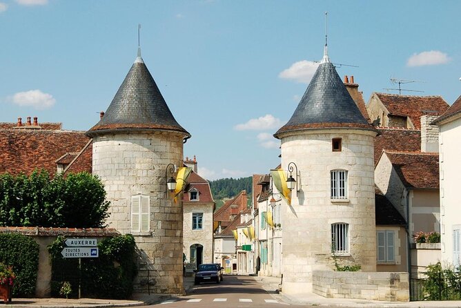 Walk in the vineyards of Chablis Grands Crus - Key points to know before you book