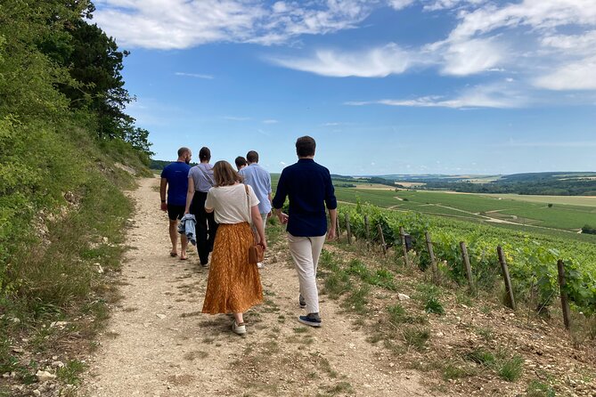 Walk in the vineyards of Chablis Grands Crus - Starting at Rue Jules Rathier in Chablis