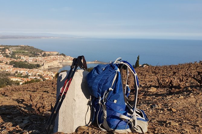 Walks in the heart of the secret vineyards around Collioure, tastings - Key points before you book