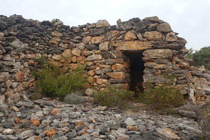 Walks in the heart of the secret vineyards around Collioure, tastings - Robert’s guiding style and the language question